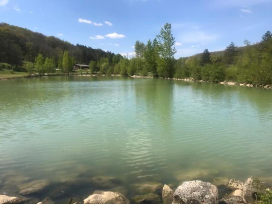 Chalet Au Milieu De La Foret Avec Lac A Proximite Layrac 外观 照片