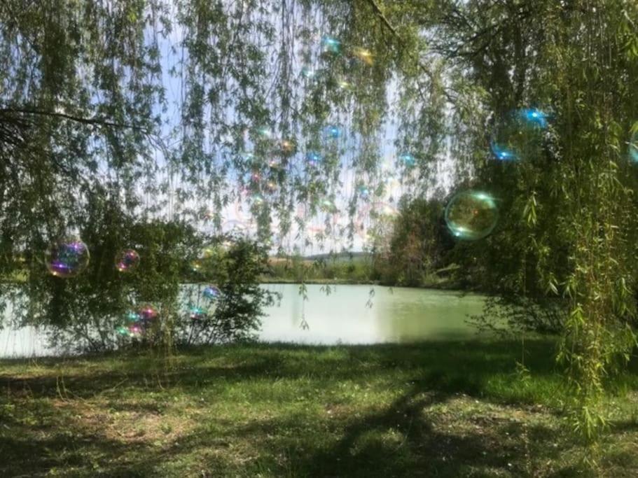 Chalet Au Milieu De La Foret Avec Lac A Proximite Layrac 外观 照片